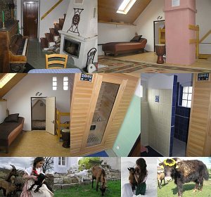 Statek Pod zelenou Křivinou [Zvětšit - nové okno]