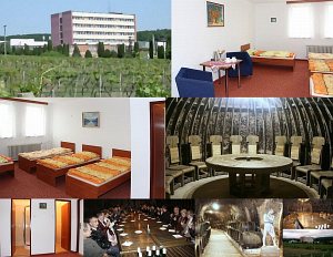 Školní turistická ubytovna s tokajským sklípkem [Zvětšit - nové okno]