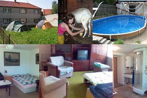 Ekologická farma Hvozd - chov ovcí a koz [Zvětšit - nové okno]