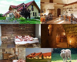 Tokajský dom Ostrožovič [Zvětšit - nové okno]