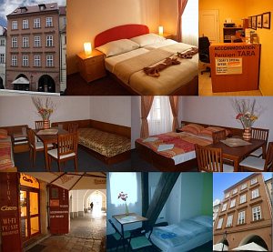 Pension Tara [Zvětšit - nové okno]