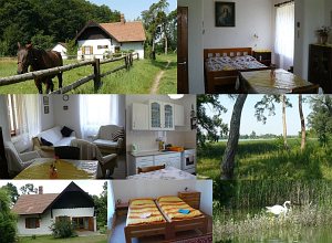 Chalupa u Prostředního rybníka [Zvětšit - nové okno]