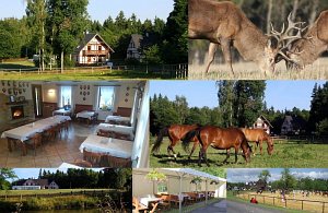 Farma Hory - penzion a restaurace [Zvětšit - nové okno]
