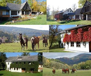 Ranč M [Zvětšit - nové okno]