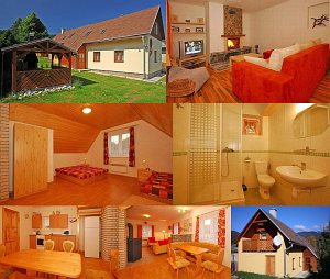 Vilka Cibulka [Zvětšit - nové okno]