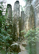 Prachovské skály [Zvětšit - nové okno]